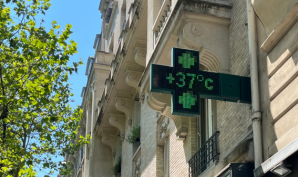canicule