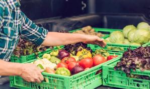 livraison de légumes par un producteur de proximité